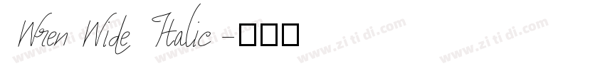 WrenWide Italic字体转换